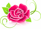 china rose palettblad