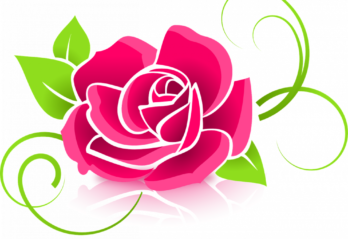 china rose palettblad