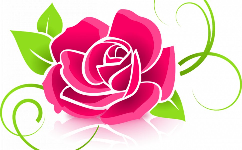 china rose palettblad